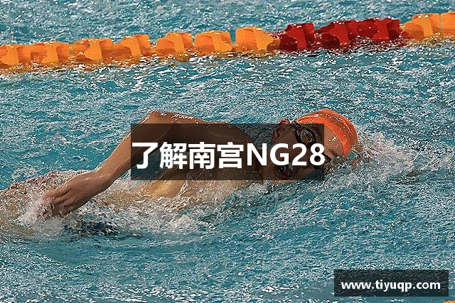 了解南宫NG28